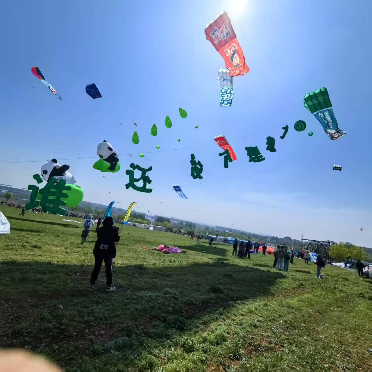 中山市风筝批发风筝定制 - 一站式服务